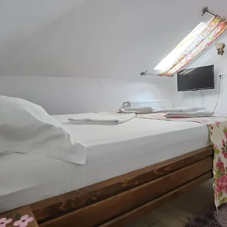 Pensiunea Geostar 3*